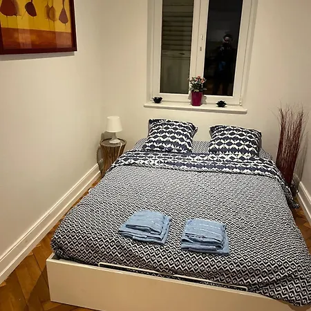 Two-rooms Flat Near Strasbourg ! 公寓 *